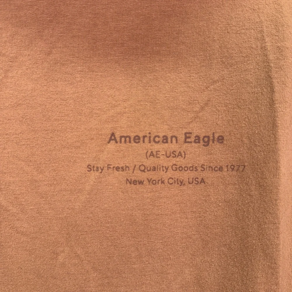 American Eagle Hoodie Mens XXL Brown Fleece Pullover‎ Hooded Sweatshirt Lounge